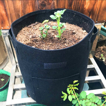 Gardinea® Felt Potato Growth Bags